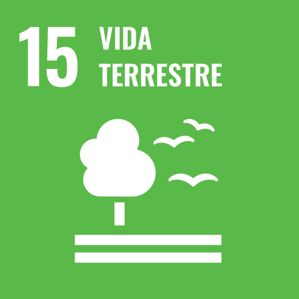 ODS15 Vida terrestre